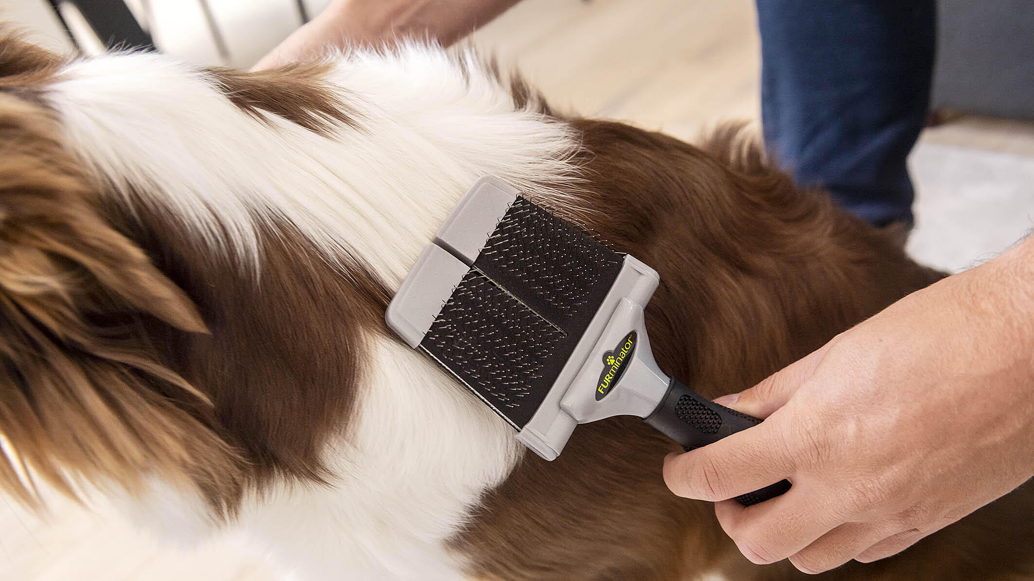 Brosses & Peignes » FURminator