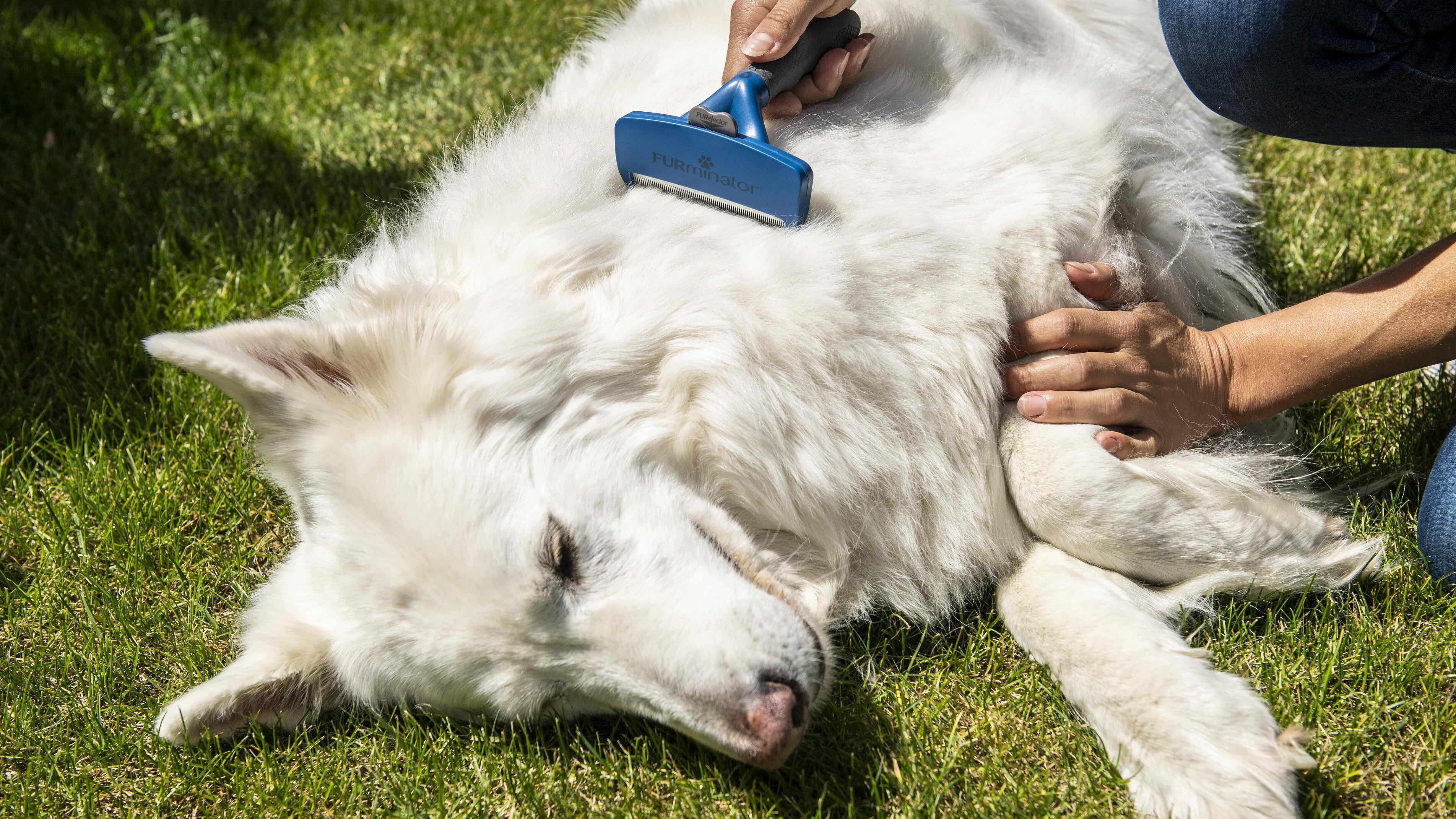 Furminator Undercoat De-Shedding Tool – The Hipster Hound