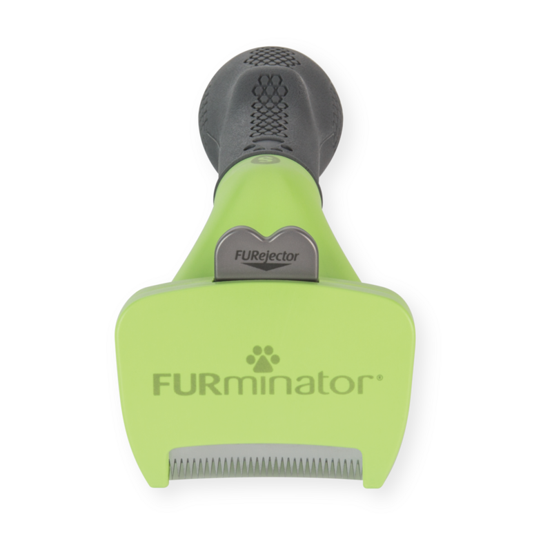 Brosse FURminator pour chiens de petite taille à poils longs