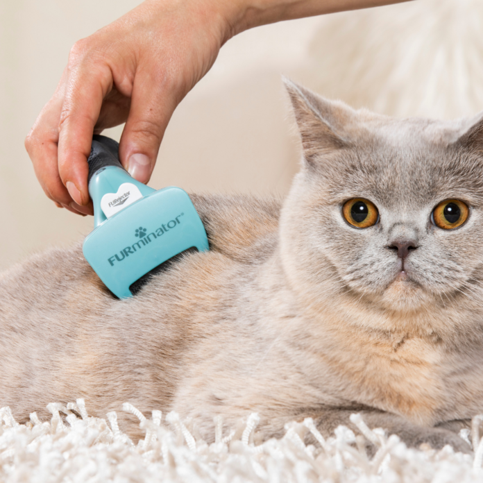 Furminator Kattenborstel, Voor Kleine Katten