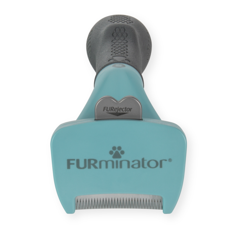 Brosse FURminator pour chiens de petite taille à poils longs