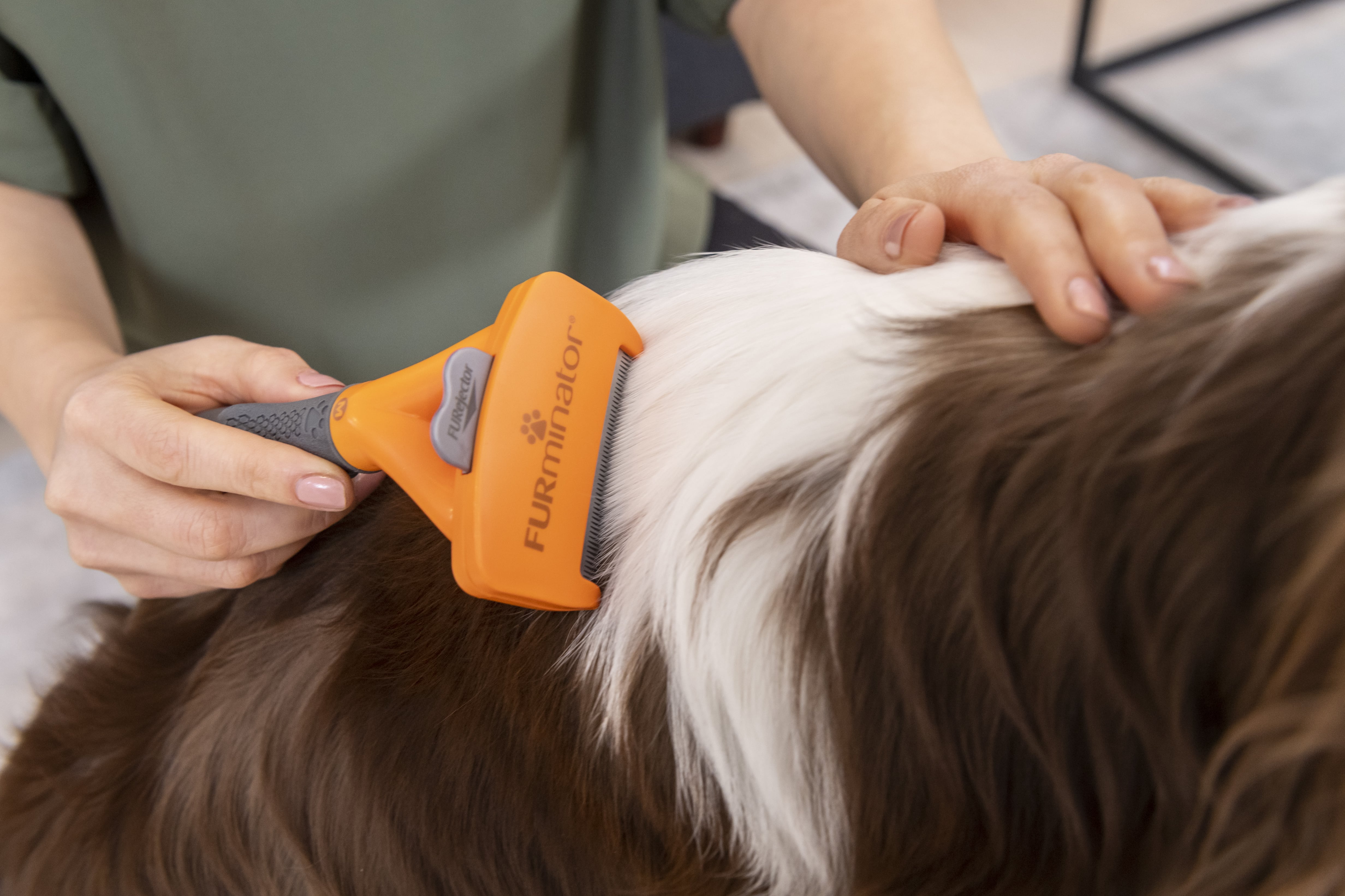 THE ORIGINAL FURminator Long-Hair deShedding Tool — A.D. Acres Springers