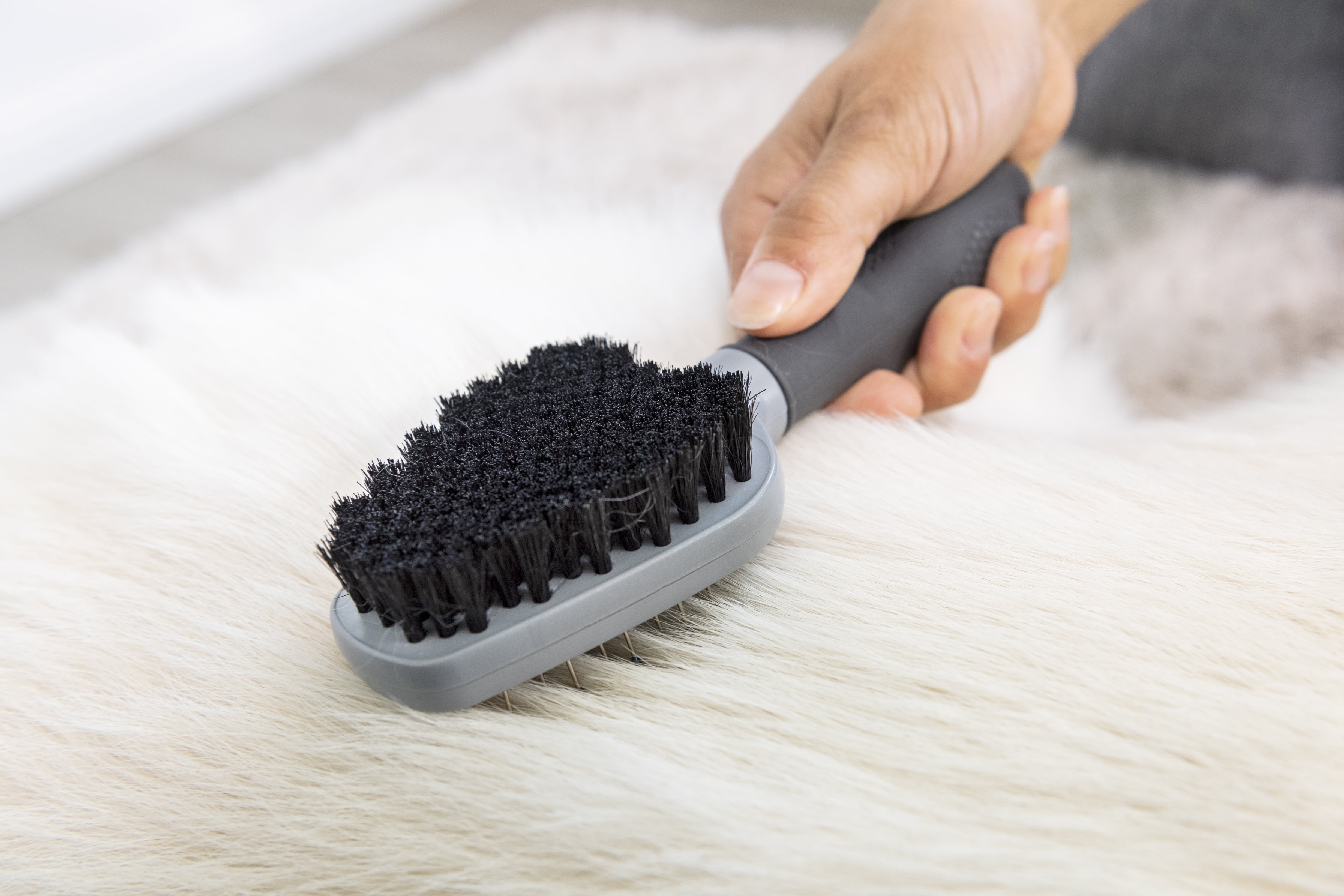 Brosse ramasse poils Hair Collection FURminator